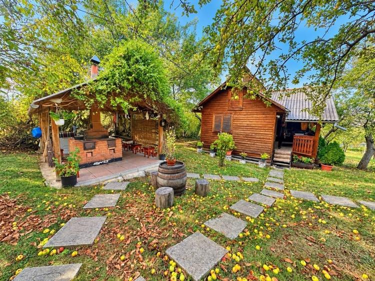 Casă individuală cu 2 camere cu Teren 3400 Mp în Cugir