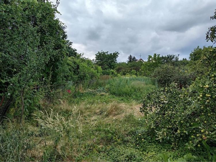 Casă cu 2 camere în Central