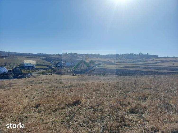 Teren de 8821 mp, în Răucești