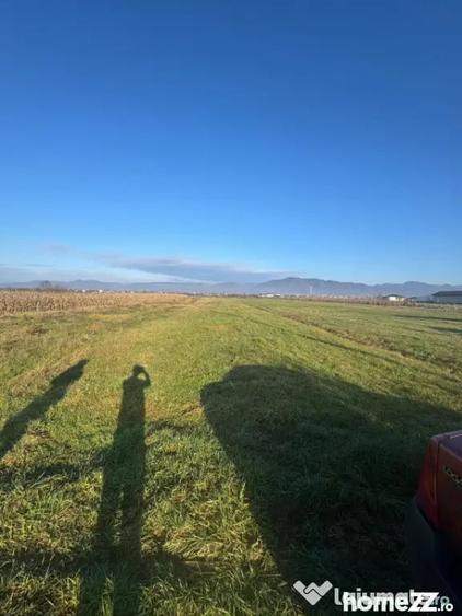 Teren de 1800 mp, în Mocira