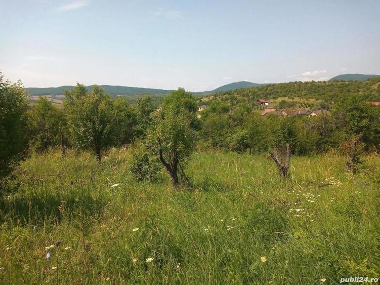 Teren de 1133 mp, în Central