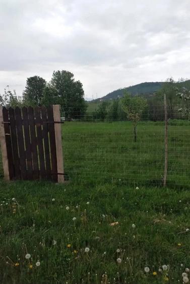 Teren de 2500 mp, în Central