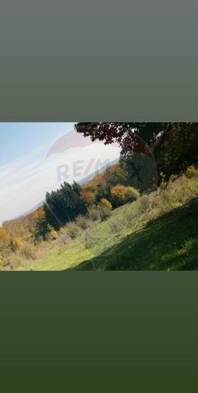 Teren Construcții intravilan de 6700 mp, în Vlădeni