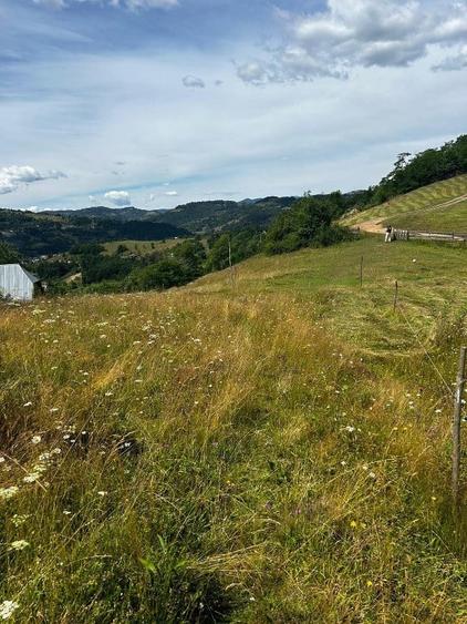 Teren de 5833 mp, în Bistra