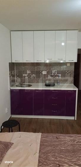 Garsonieră în Țiglina 1