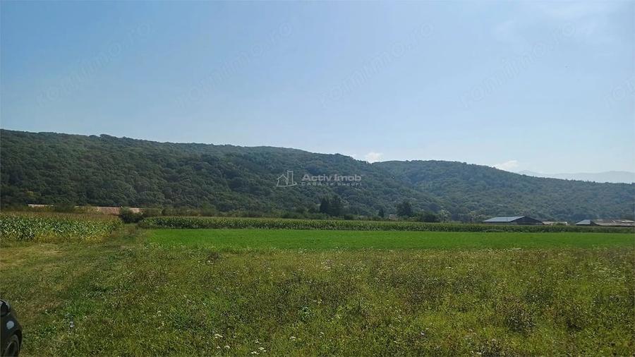 Teren de 2500 mp, în Periferie