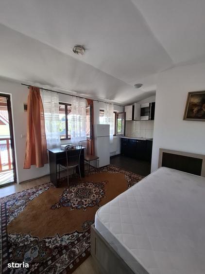 Garsoniera de inchiriat Copou, Str. Albine? - 7