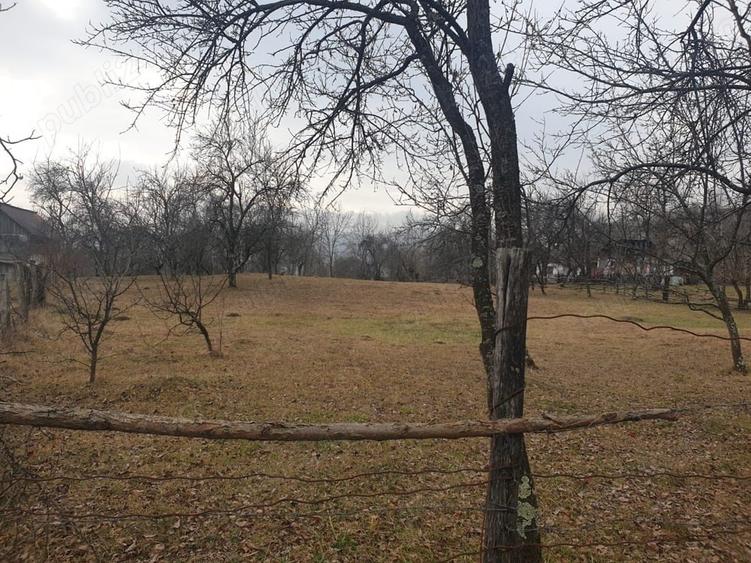 Teren de 2911 mp, în Brebu
