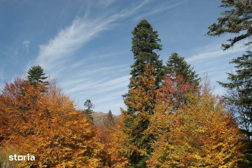 Teren de vanzare in Sinaia loca?ie centrala. - 8