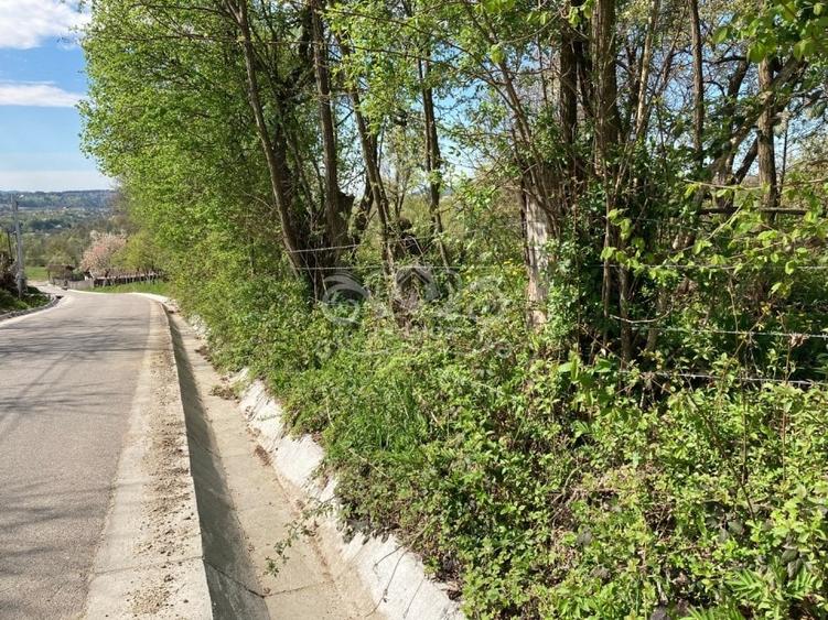 Teren Construcții intravilan de 4905 mp, în Albeștii de Muscel