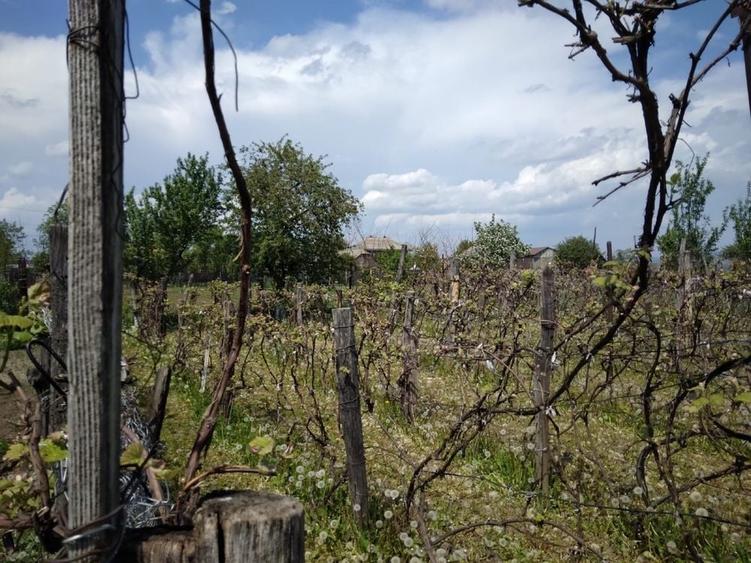Spațiu comercial, de 1,150 mp, în Lespezi