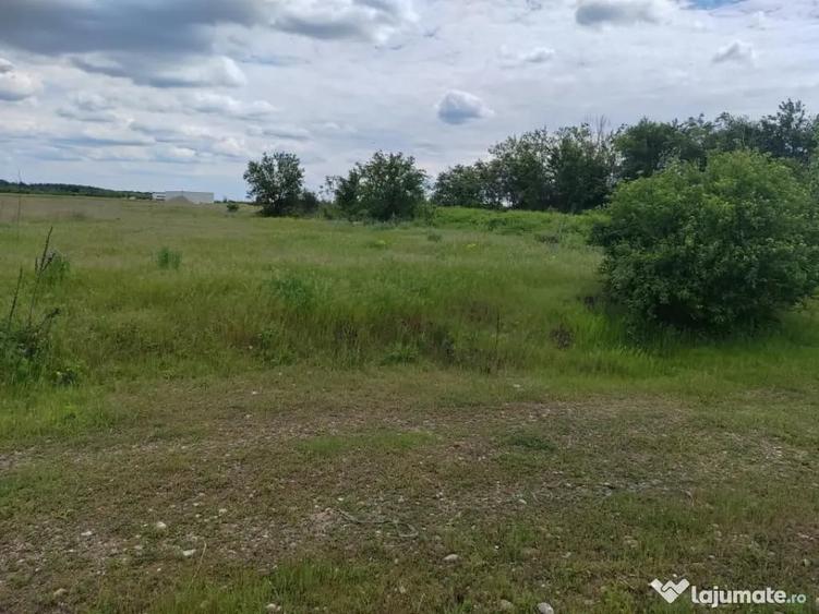 Teren în Ariceștii Rahtivani