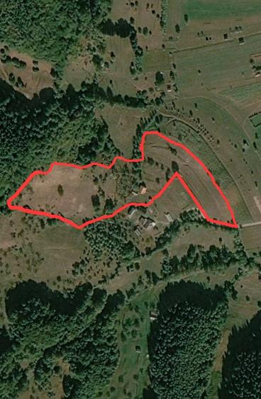 Teren de 30000 mp, în Leordina