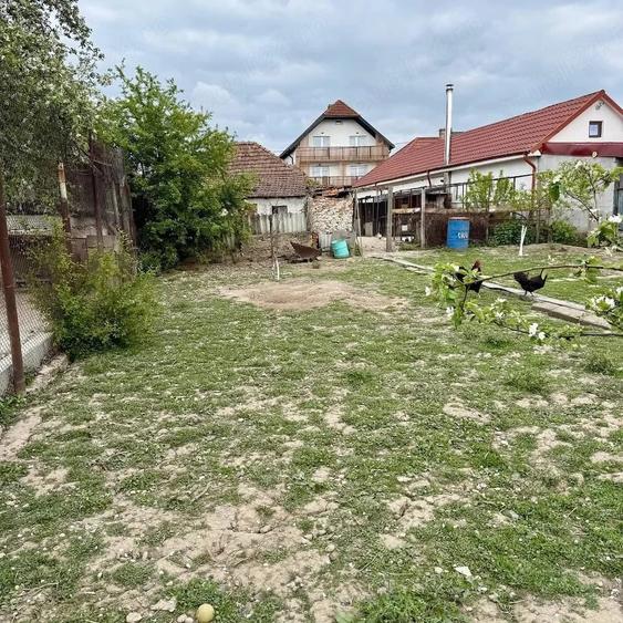 Casă cu 3 camere cu Teren 757 Mp în Oșorhei