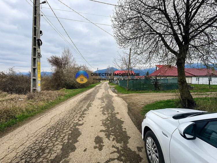 Teren Construcții intravilan de 1200 mp, în Vădurele (Alexandru cel Bun)