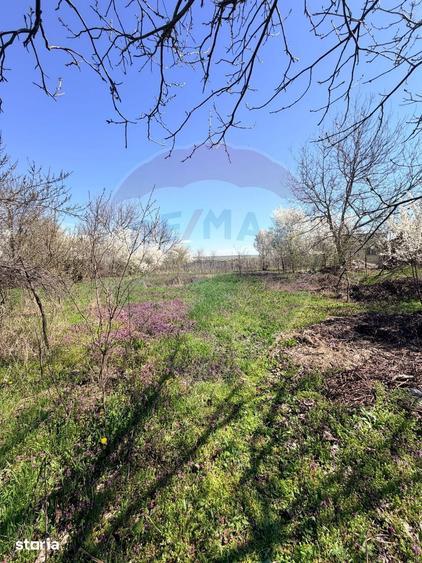 Teren de 3700 mp, în Iancu Jianu
