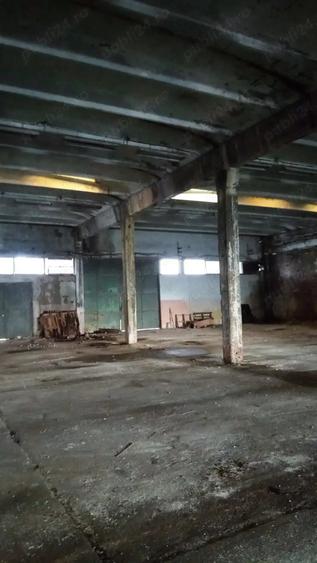 Spațiu comercial, de 6,800 mp, în Lipova