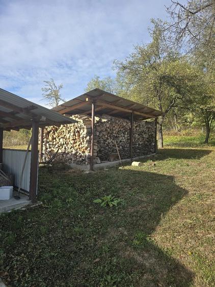 Casă cu 2 camere cu Teren 5000 Mp în Drăgășani