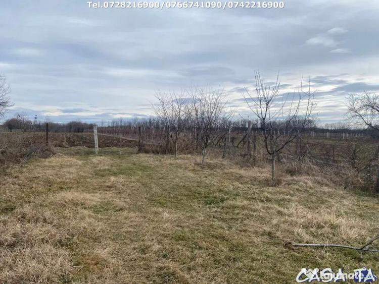 Casă cu 3 camere cu Teren 3300 Mp în Central