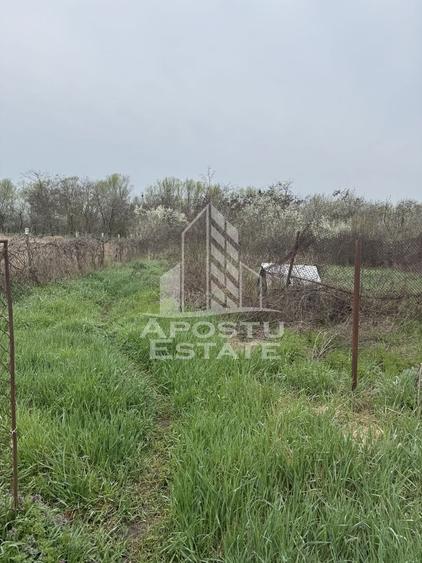 Casă individuală cu 5 camere cu Canalizare în Remetea Mare