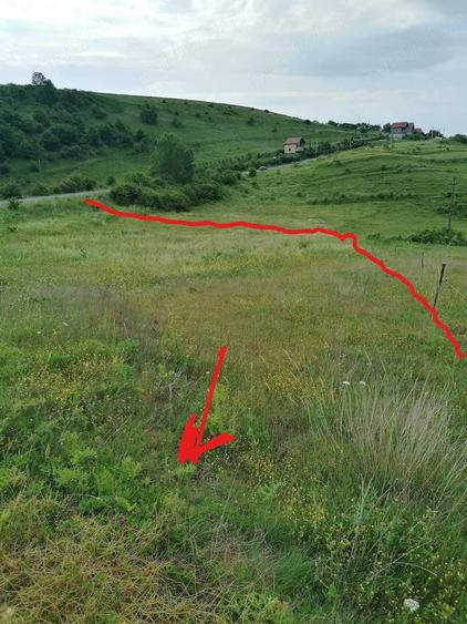 Teren de 3600 mp, în Ciurila