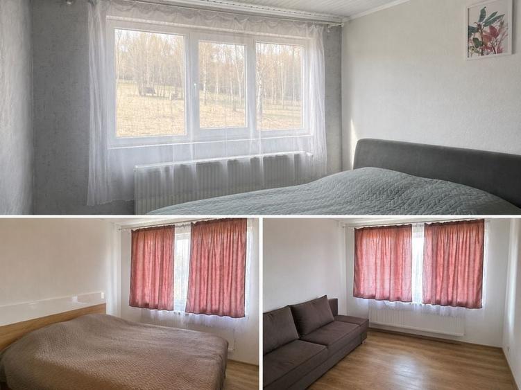 Teren de 10000 mp, în Vânători