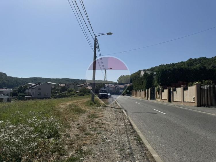 Teren Construcții intravilan de 7280 mp, în Câmpului