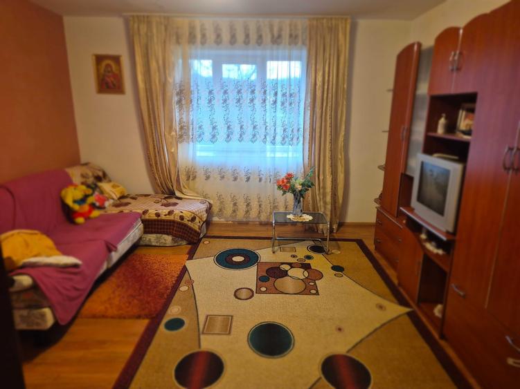 Casa de vanzare in localitatea Pagaia, Bihor - 5
