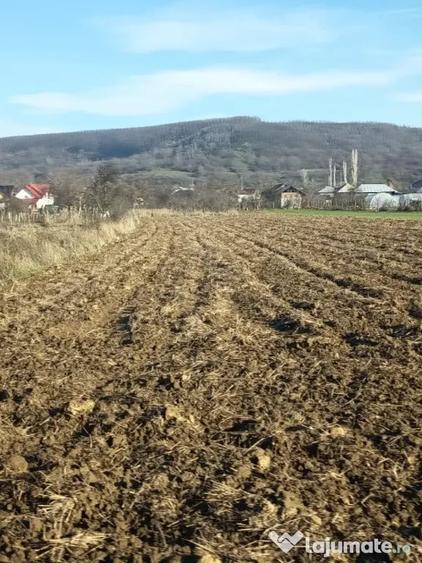 Teren intravilan de vanzare - 6