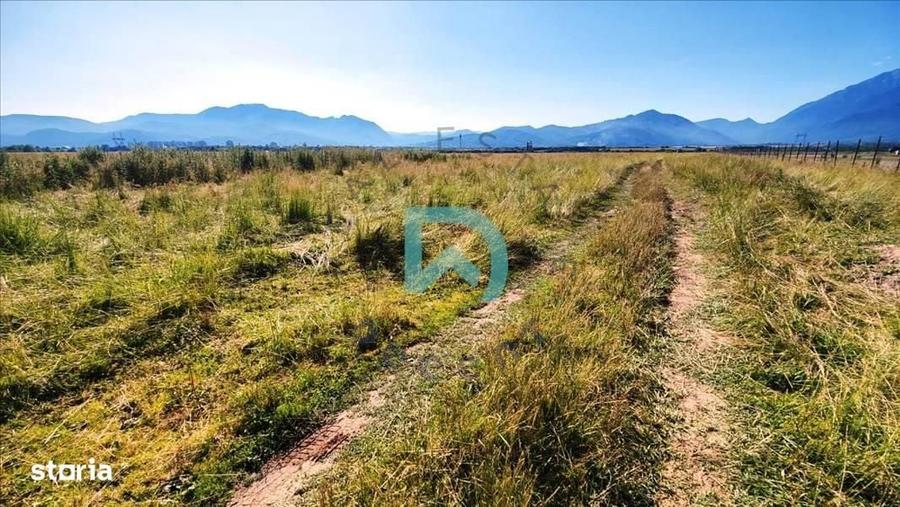 Comision ZERO, Vanzare teren , zona Tabara, DN 73 - Brasov - 3