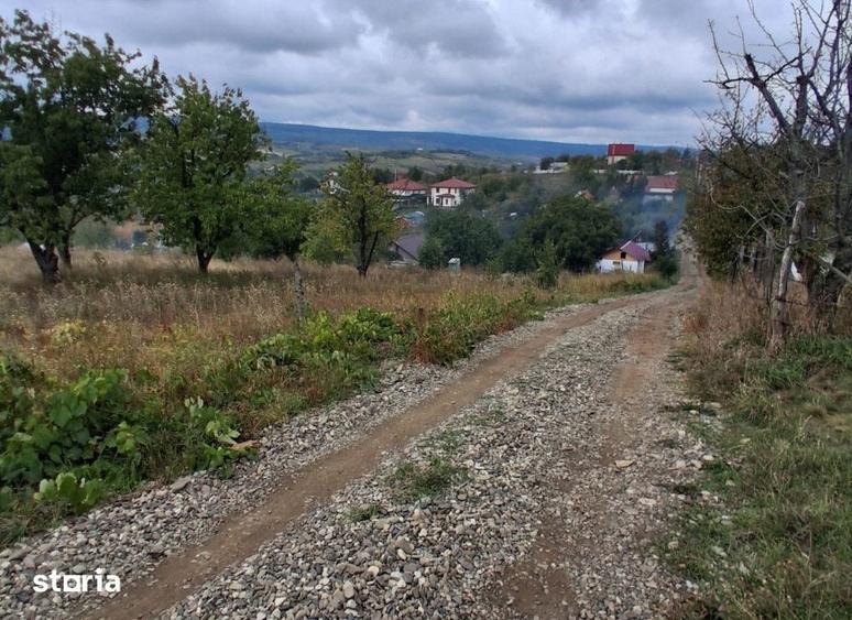 Teren de 463 mp, în Tomești