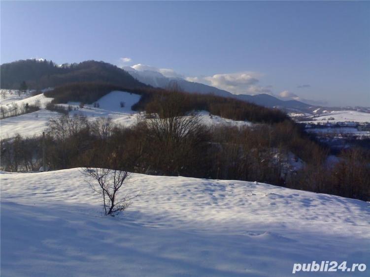 Teren de 10000 mp, în Glăjărie