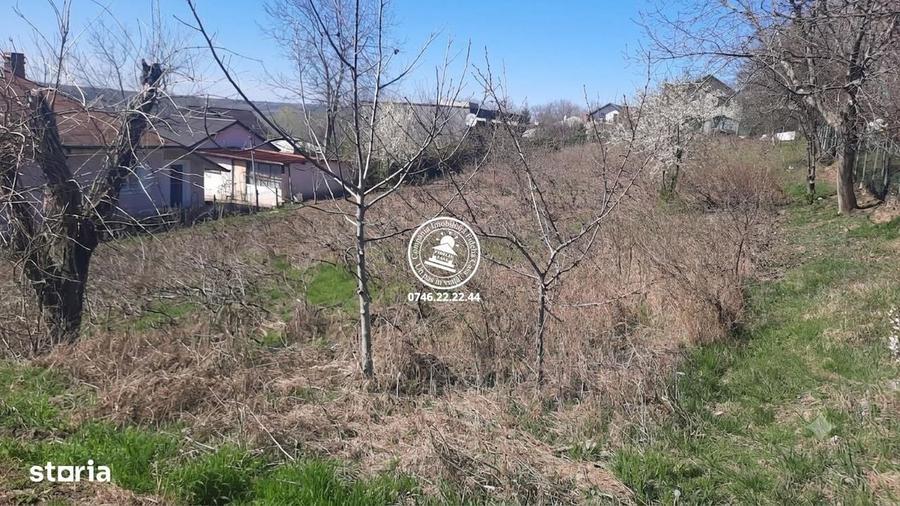 Spațiu comercial, în Aroneanu