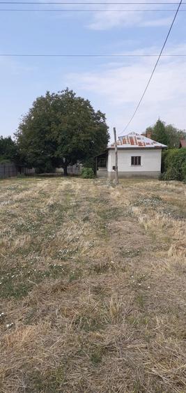 Casă cu 3 camere cu Teren 1500 Mp în Brazda lui Novac