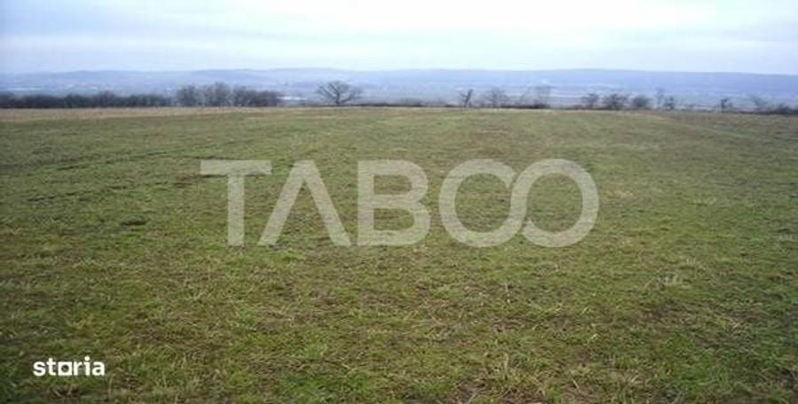 Teren 3000 mp intravilan langa Arka Parc si Arena Platos in Paltinis - 2