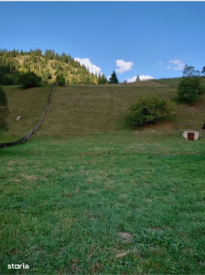 Teren de 1724 mp, în Ortoaia