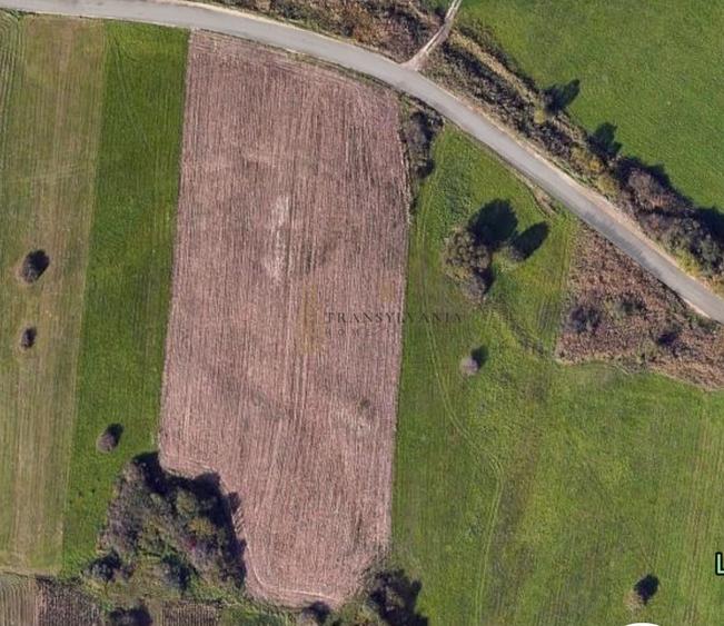 Teren agricol extravilan de 4500 mp, în Cristian