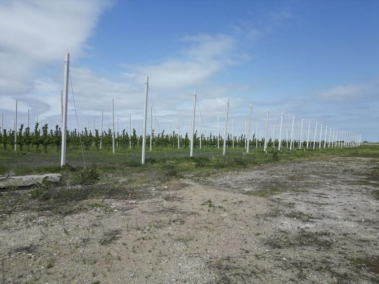 Teren agricol extravilan de 100000 mp, în Exterior Vest