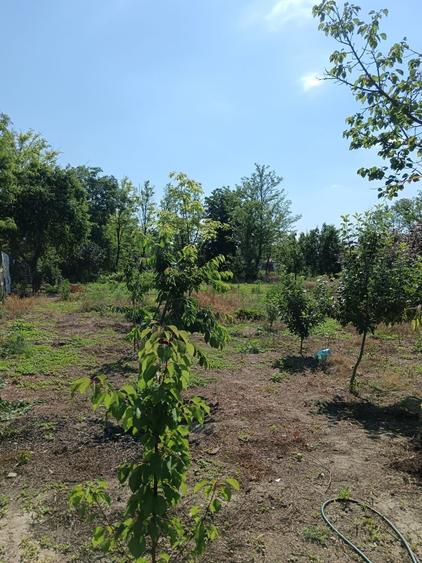 Casă cu 3 camere în Vărsătura