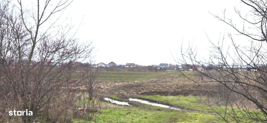 Teren intravilan Tartasesti, str.Magura, 2.000mp - 0%comision - 6