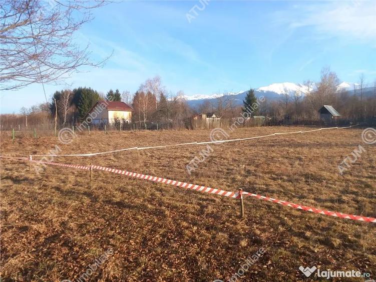 Teren de 2000 mp, în Avrig
