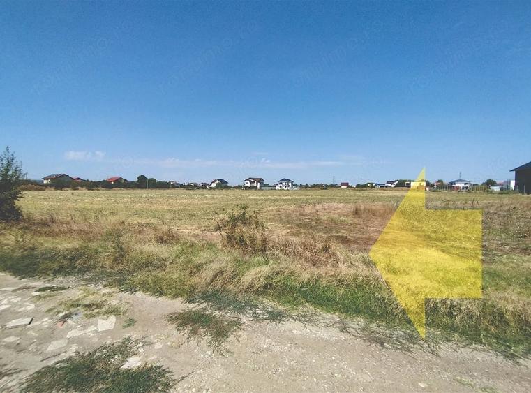 Vanzare teren intravilan in Magurele - Varteju - 4
