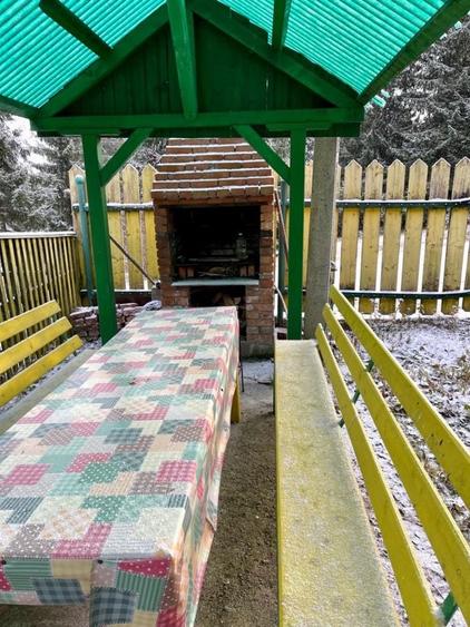 Casă cu 3 camere în Muntele Băișorii