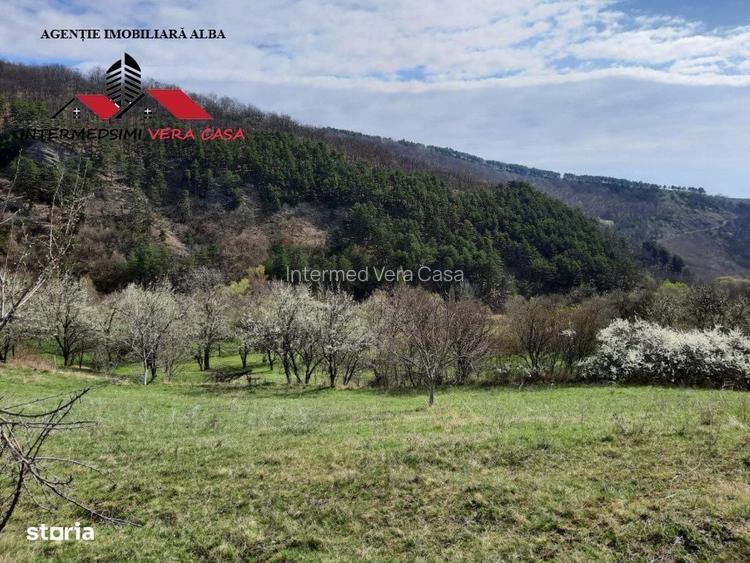 Teren intravilan 1500 mp de vanzare in Inuri Jud Alba