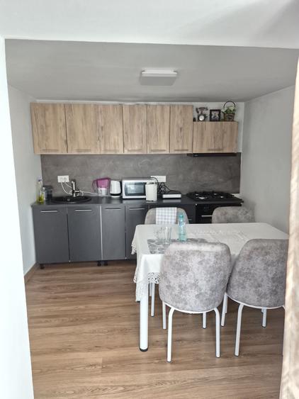 Casă cu 2 camere în Păcurari