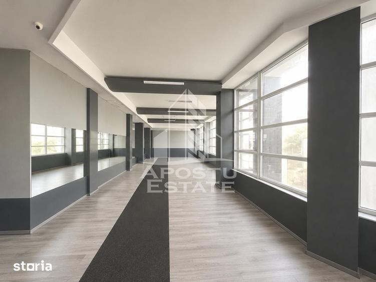 Spațiu comercial, de 354 mp, în Șagului