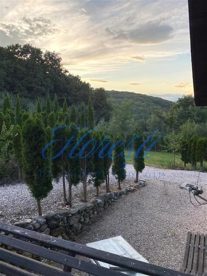 Casă individuală cu 5 camere cu Canalizare în Făget