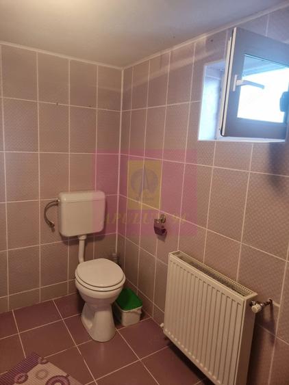 Casă cu 5 camere cu Teren 2875 Mp în Sadina