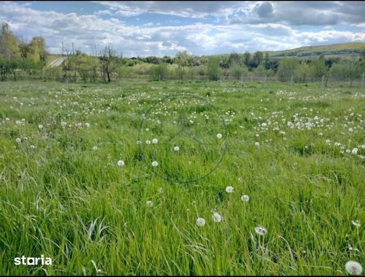Teren de 1000 mp, în Mărișelu