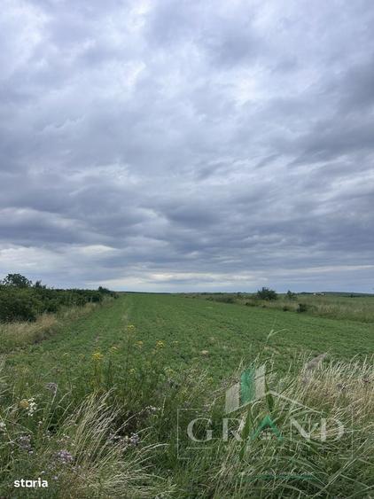 Teren intravilan 5.700 mp | Copaceni, Cluj | DN1 | - 1